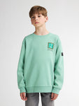 Petrol Industries -  Boys Sweater Round Neck Print