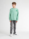 Petrol Industries -  Boys Sweater Round Neck Print