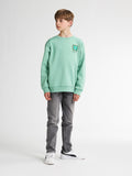 Petrol Industries -  Boys Sweater Round Neck Print